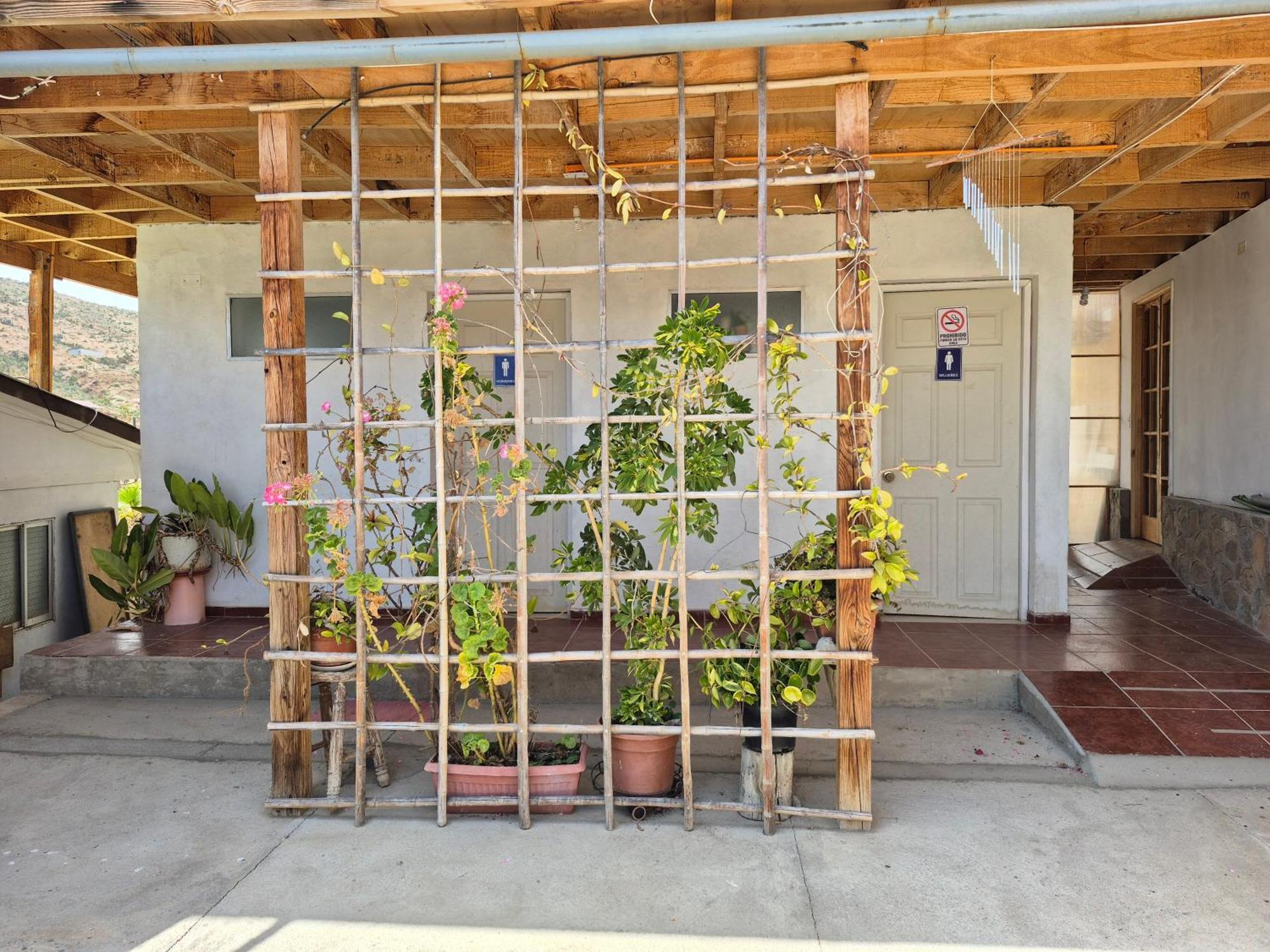 Hostal Los Almendros Canela Baja Esterno foto