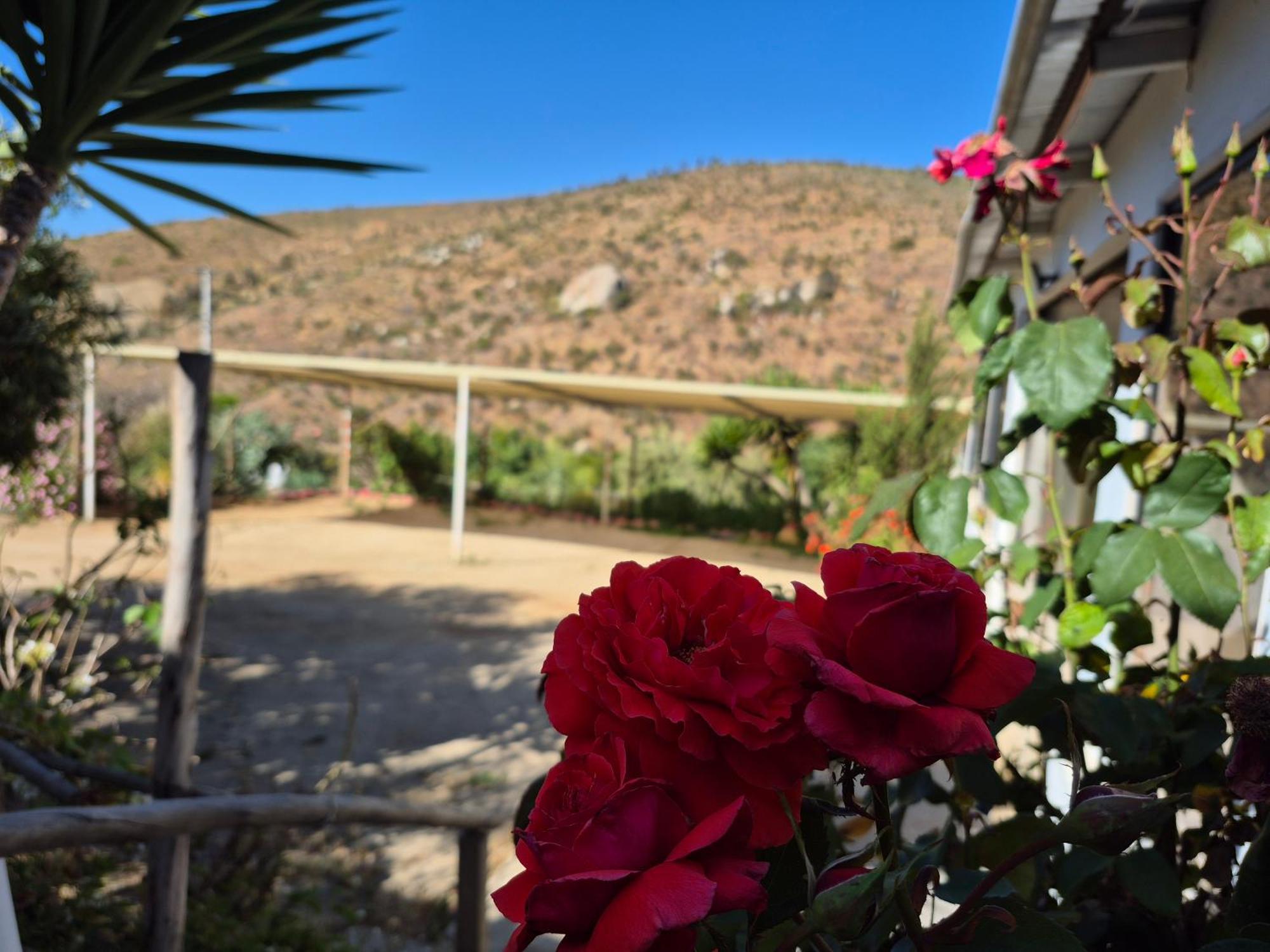 Hostal Los Almendros Canela Baja Esterno foto