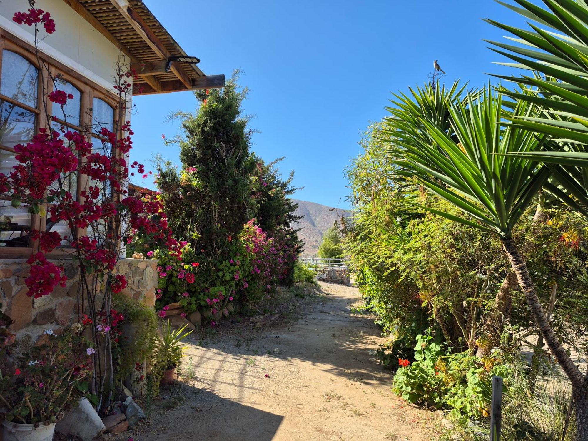 Hostal Los Almendros Canela Baja Esterno foto