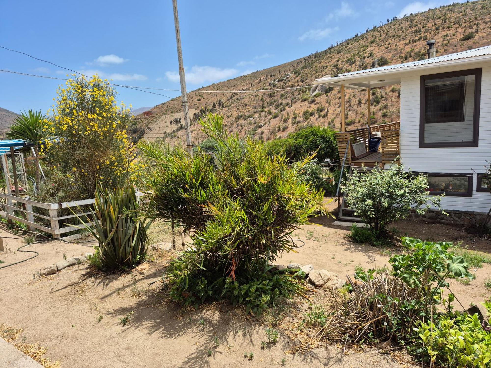 Hostal Los Almendros Canela Baja Esterno foto